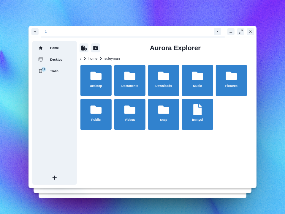 Main Interface of Aurora Explorer